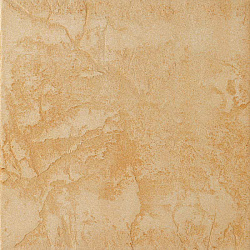 AN 01