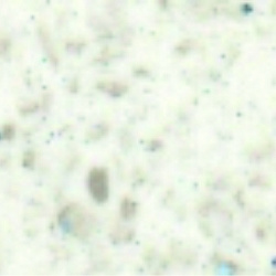  LM 0425-01